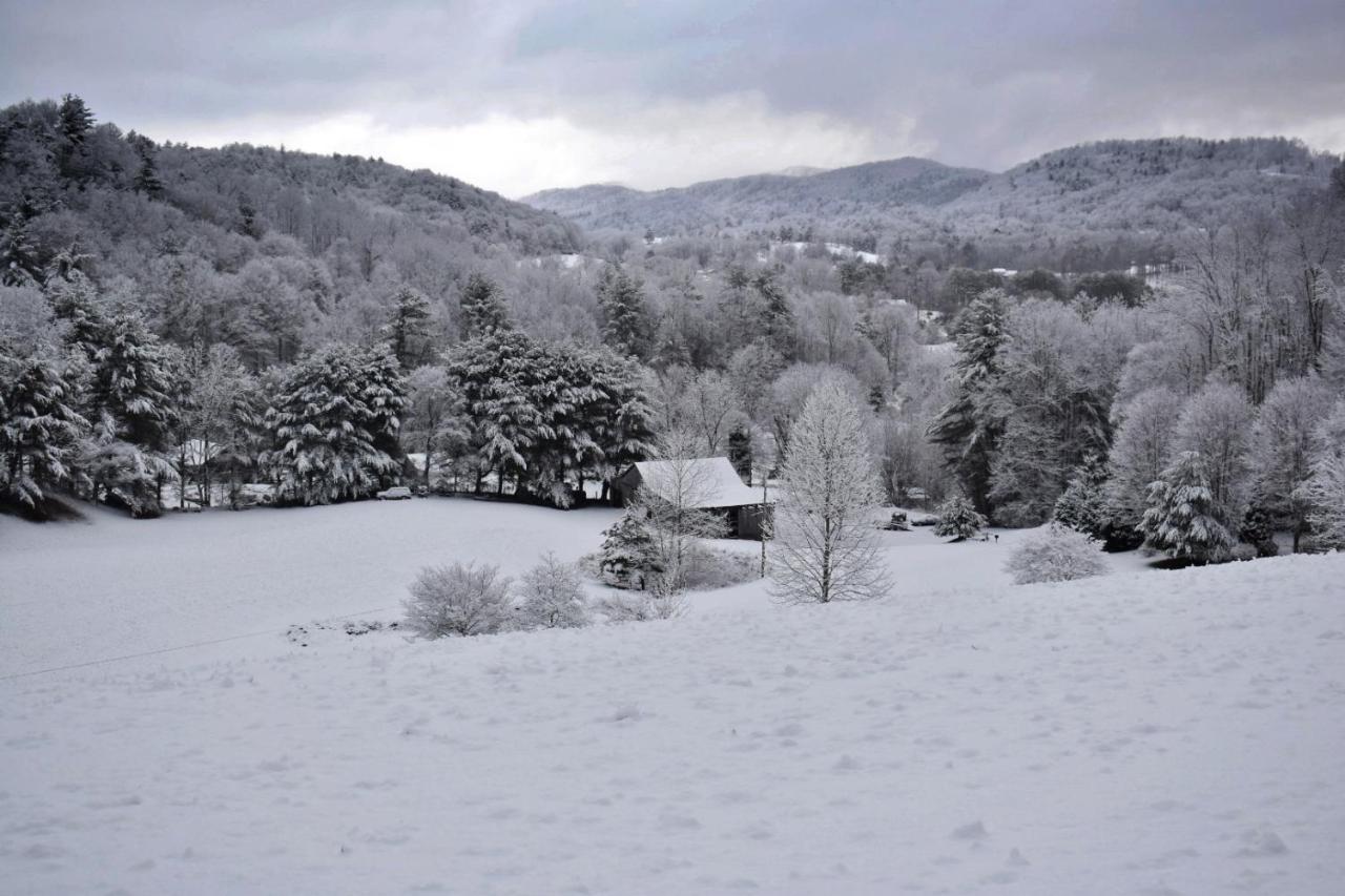 Iron Mountain Lodge - Beautiful Cabin With Forest & Mountain Views! บัทเลอร์ ภายนอก รูปภาพ